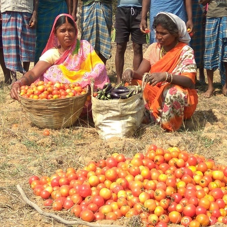 Chhattisgarh